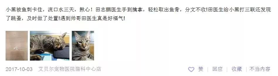 铲屎官宠物诊所,铲屎官宠物医院优惠