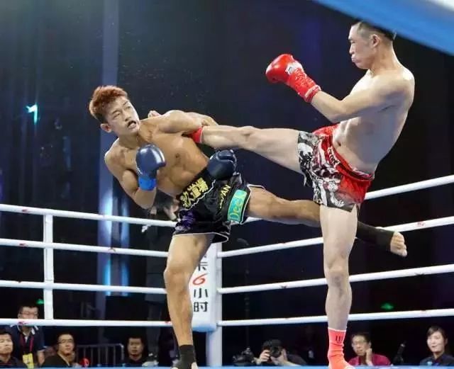 鏃ユ湰鏁ｆ墦涓浗澶哄啝,鏃ユ湰鍏ㄨ儨