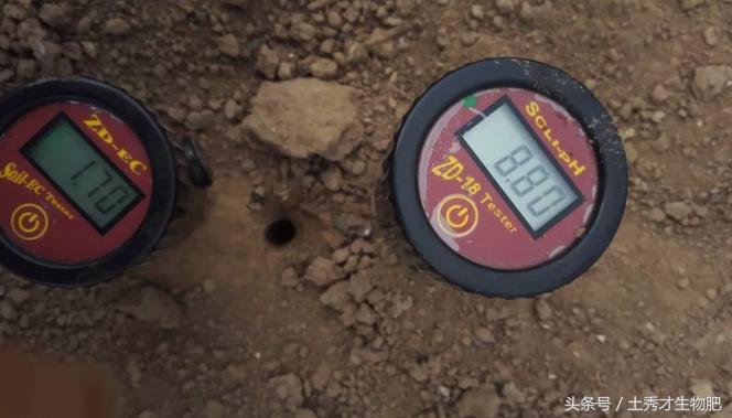 山东品牌故事,品牌故事完整版视频