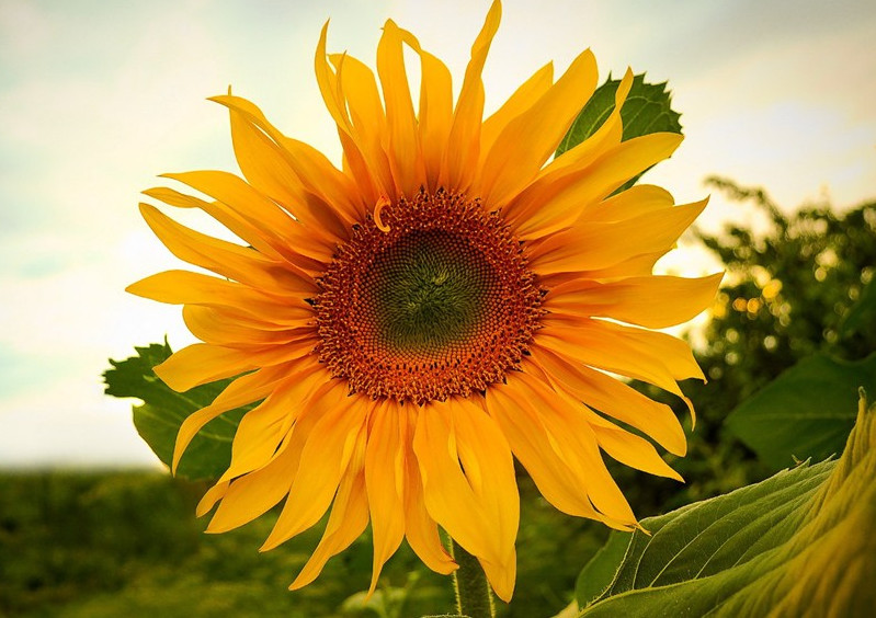 职场被排挤应该怎么办,职场被排挤如何自救