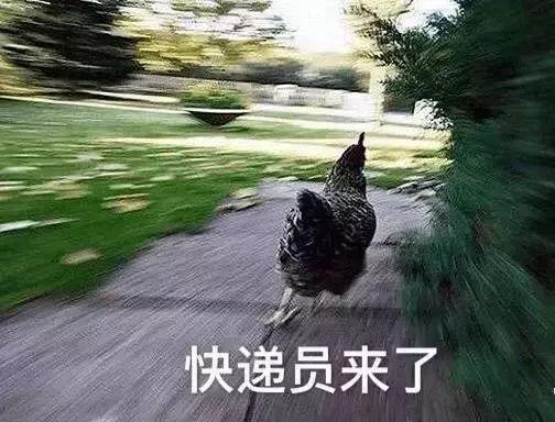 2017年我们在新闻里寻找到的快感