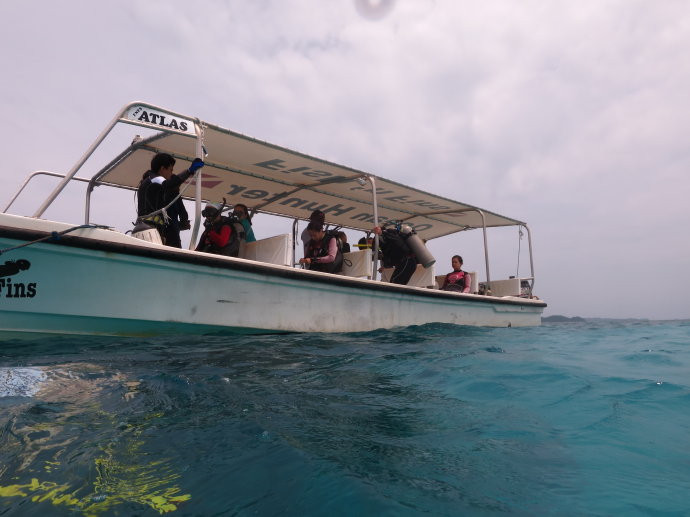 帕劳海底世界,帕劳七色海全景图