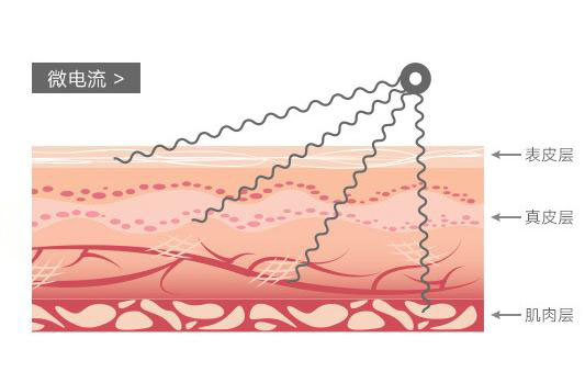 美容仪器大盘点！大排灯、射频仪真的有必要买吗？