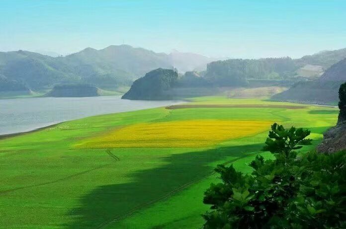 浪漫的集体露营,浪漫的第一次