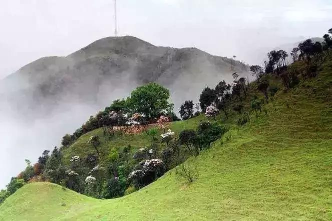 广东草原风景,广东绝美草原