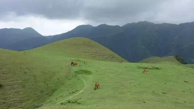 广东草原风景,广东绝美草原