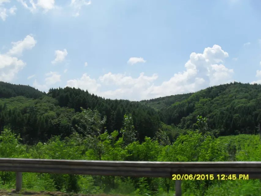 浪漫的集体露营,浪漫的第一次