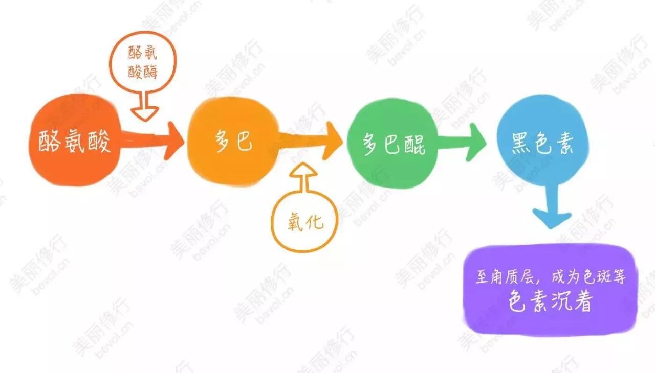 深挖一个超牛的搭配，解锁美白新思路