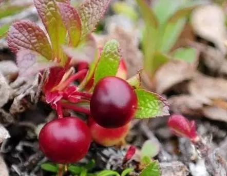 深挖一个超牛的搭配，解锁美白新思路