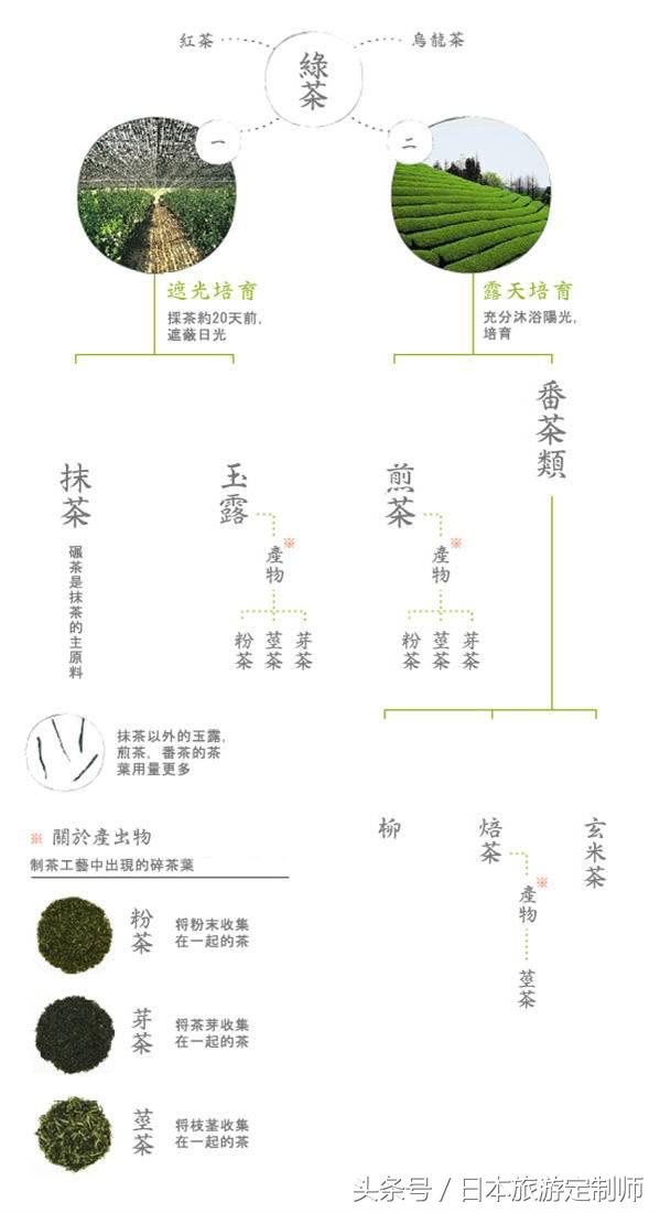 日本文化深度解读,日本文化通史讲什么了