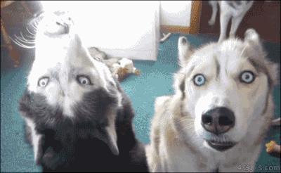 你不知道的十个英语常识,一分钟看懂英语冷知识