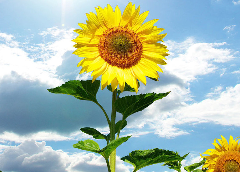 职场被排挤应该怎么办,职场被排挤如何自救