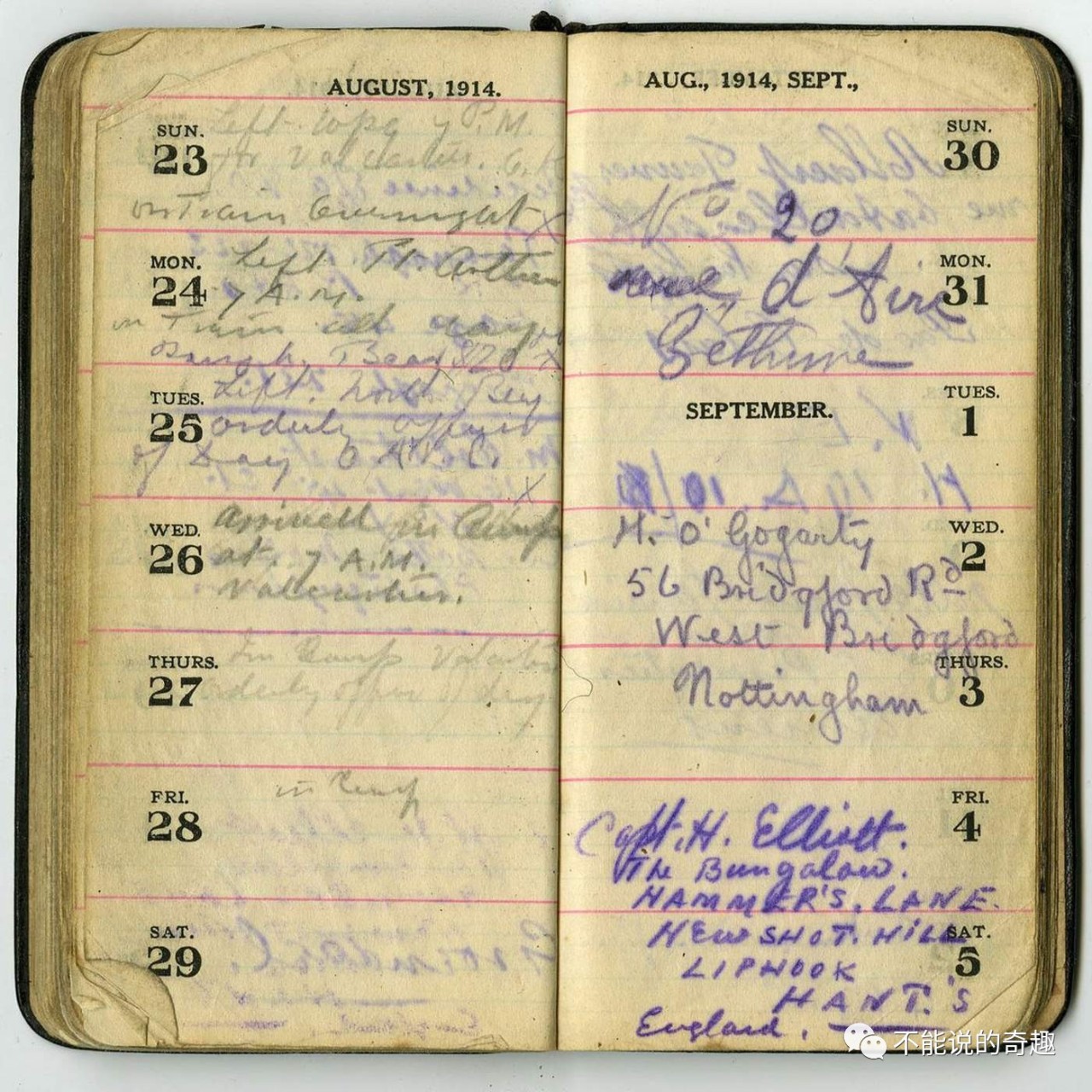 20美元被买下带回*队军**,50年后它成为红遍全球的小熊维尼