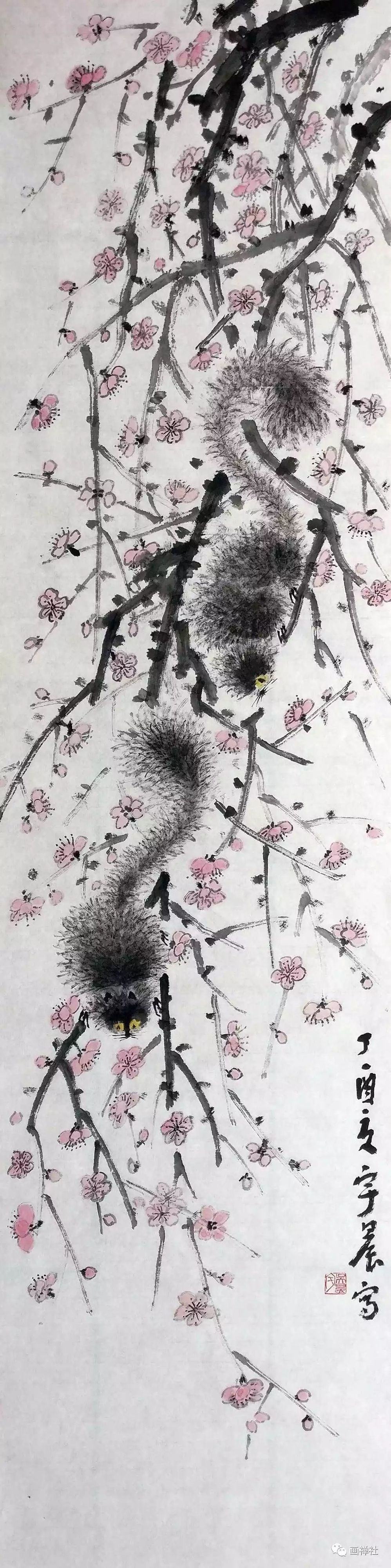 宇晨的来历,宇晨的日常