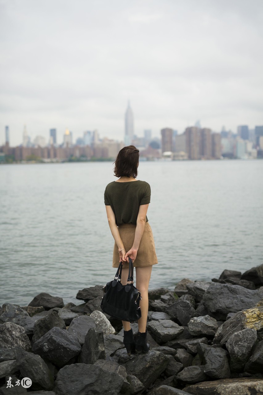 感情动物歌曲,动物爱情故事小说