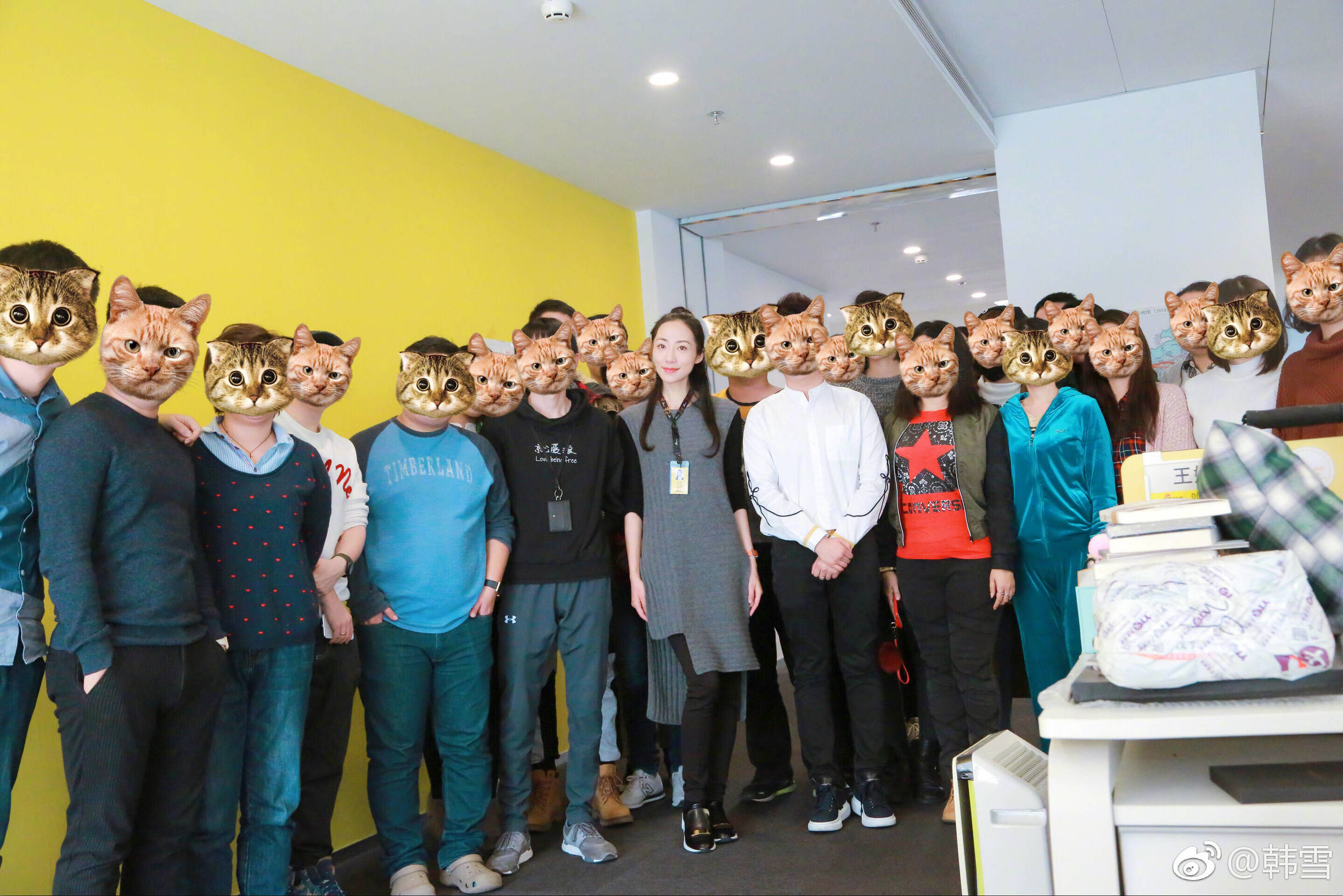 韩雪工作,韩雪新浪科技有限公司