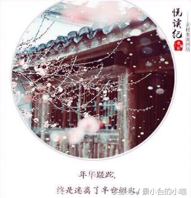 经典言情小说推荐双强,言情小说推荐古言清穿