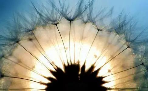 焦虑强迫失眠,强迫恐惧焦虑多疑失眠