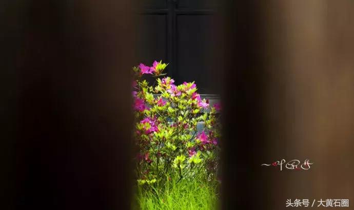 黄石附近泡温泉好去处推荐,黄石哪里有好的泡温泉的地方