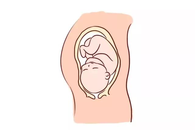 胎停育的大部分责任,胎停育太可怕了怎么预防