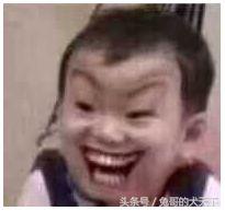 宠粮河北,怎么评价河北宠粮