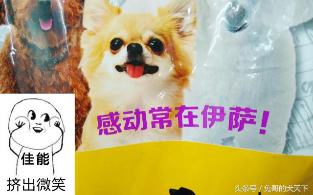 宠粮河北,怎么评价河北宠粮