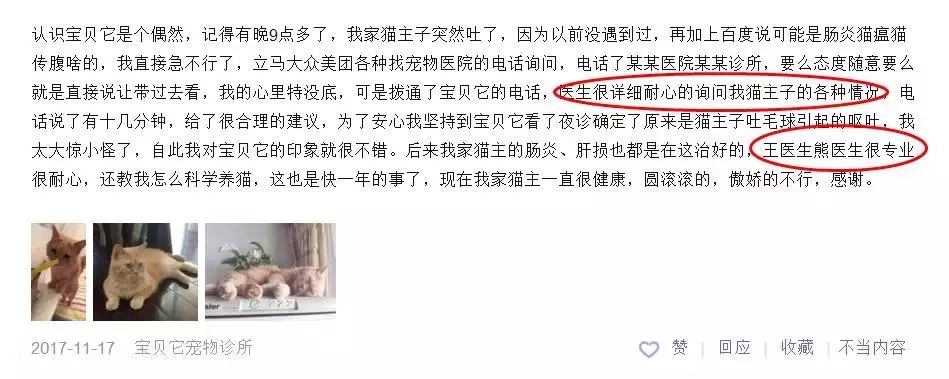 铲屎官宠物诊所,铲屎官宠物医院优惠