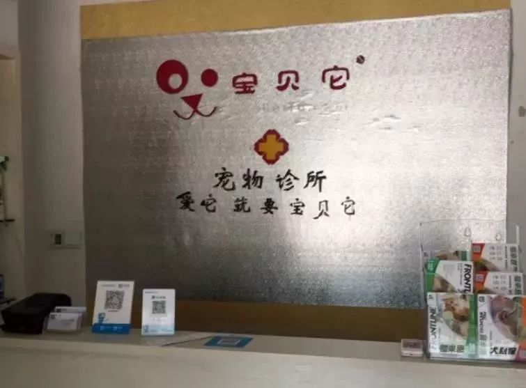 铲屎官宠物诊所,铲屎官宠物医院优惠