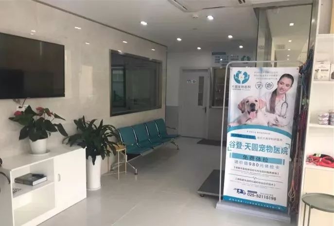 铲屎官宠物诊所,铲屎官宠物医院优惠