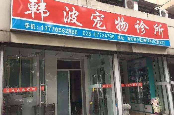 铲屎官宠物诊所,铲屎官宠物医院优惠