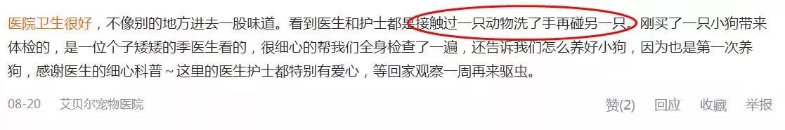 铲屎官宠物诊所,铲屎官宠物医院优惠