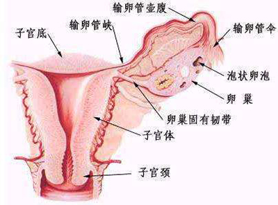 久坐易患病的危害,久坐引发炎症