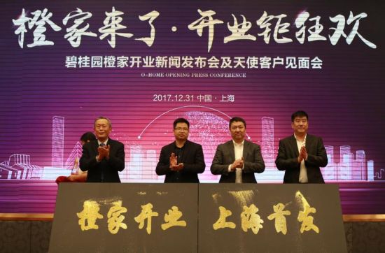 中源家居最近消息,中源家居2019年报