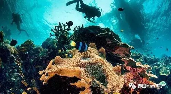 2018如何逐浪苏梅岛？给你最全指南