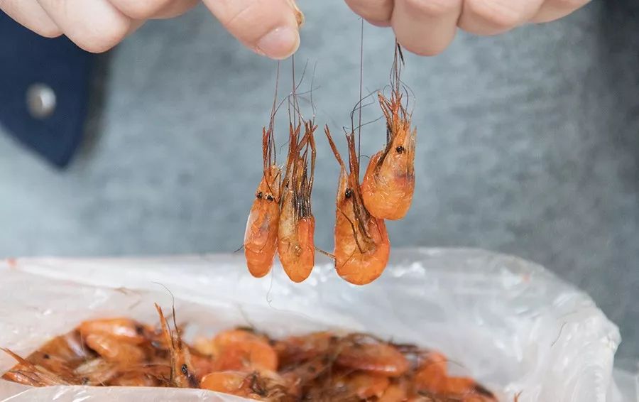 魔都50个必去地点,上海10大诡异地方