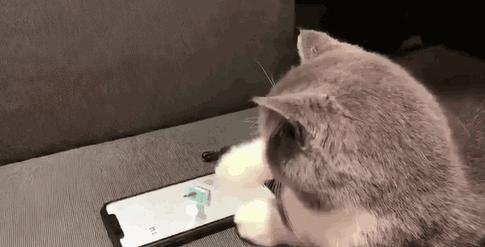 微信怎样才能得到跳一跳辅助,微信跳一跳辅助免费版指南