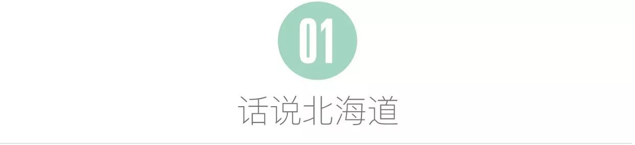 日本北海道好吃的零食品牌,北海道十大必买美食