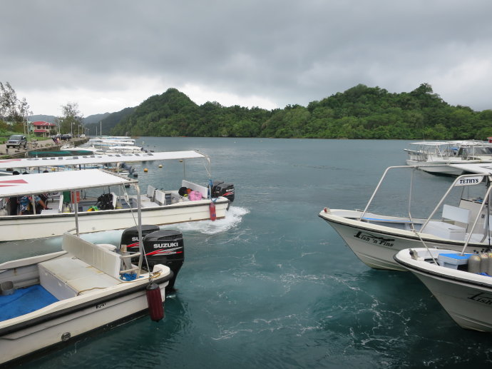 帕劳海底世界,帕劳七色海全景图