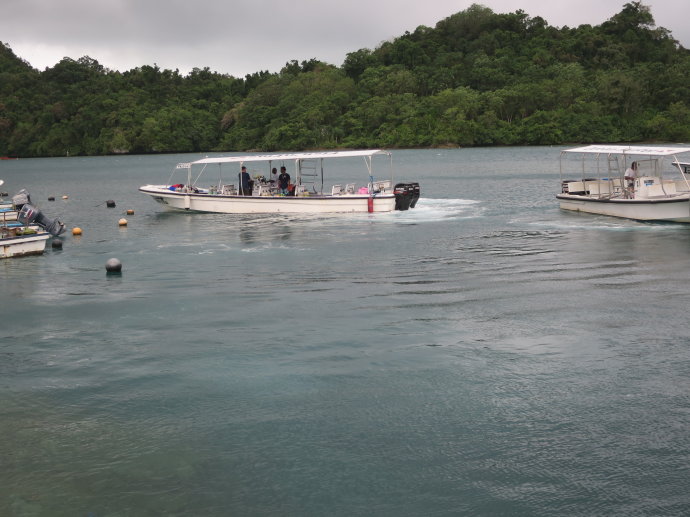 帕劳海底世界,帕劳七色海全景图