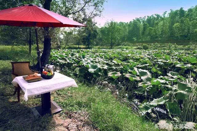 黄石附近泡温泉好去处推荐,黄石哪里有好的泡温泉的地方