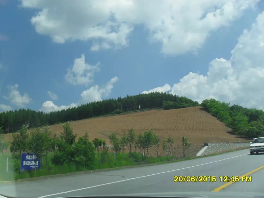 浪漫的集体露营,浪漫的第一次