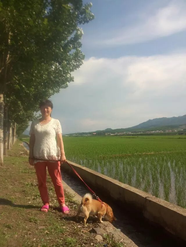 浪漫的集体露营,浪漫的第一次