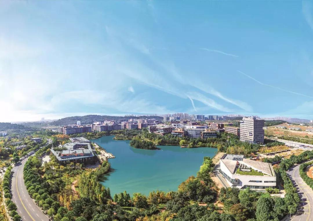 光谷经济发展现状,光谷发展历程与文化