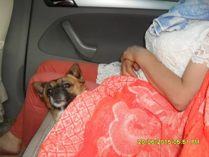 浪漫的集体露营,浪漫的第一次