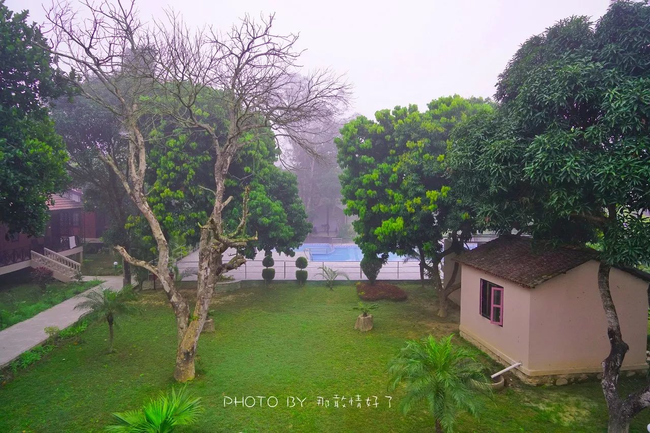 尼泊尔必买商品,尼泊尔购物街必买清单