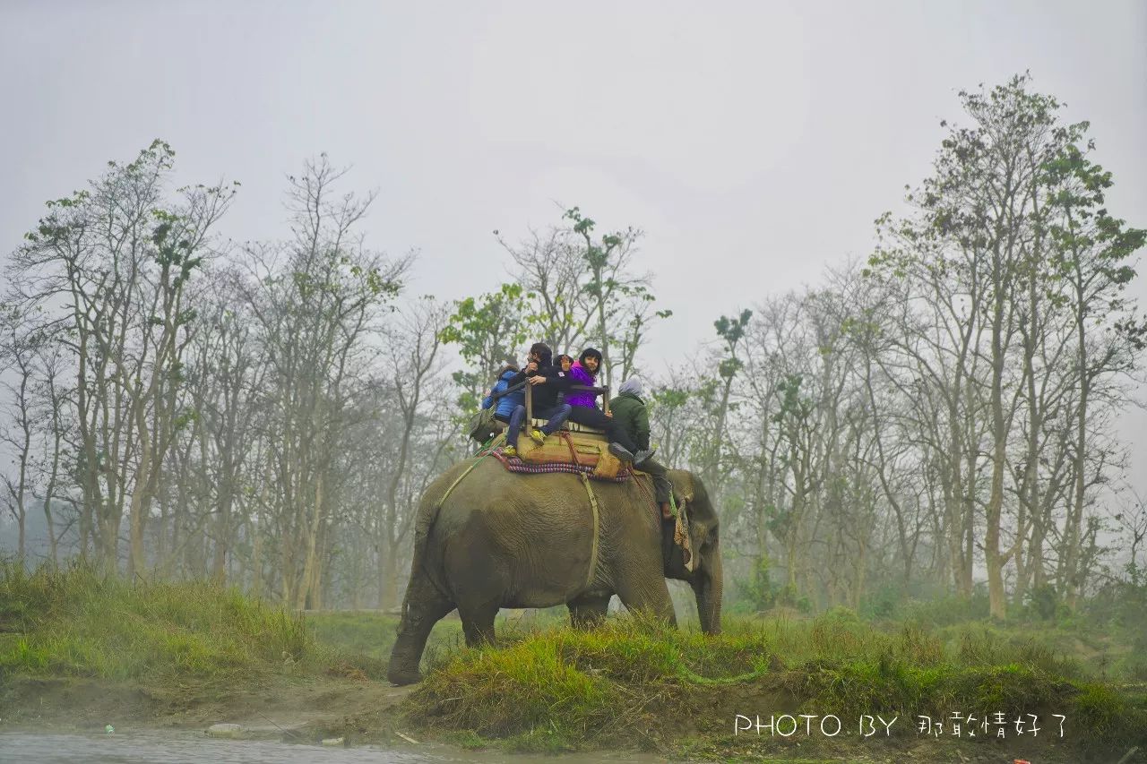 尼泊尔必买商品,尼泊尔购物街必买清单