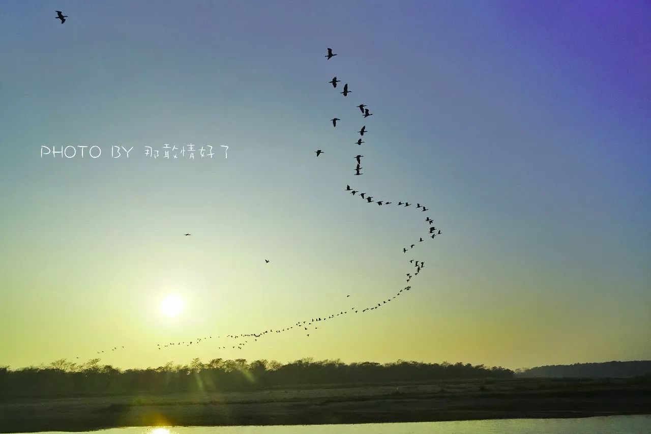 尼泊尔必买商品,尼泊尔购物街必买清单