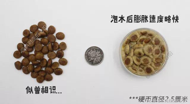 宠粮河北,怎么评价河北宠粮