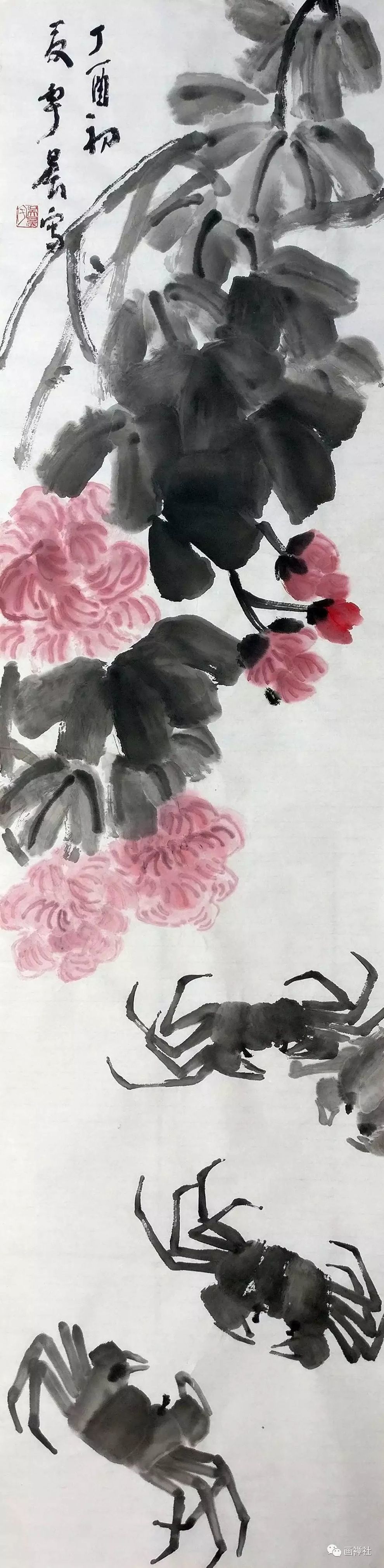 宇晨的来历,宇晨的日常