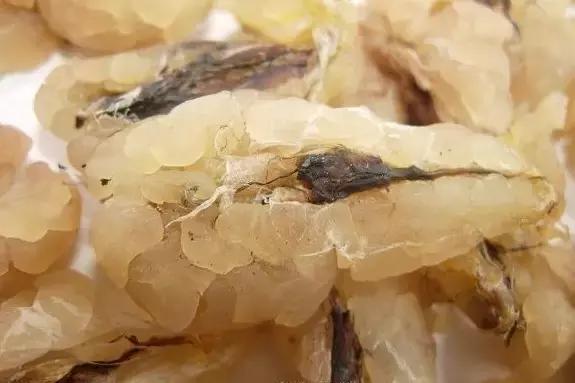 吉林特产享誉全国,吉林各地特产有哪些